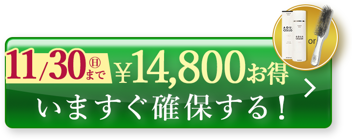 今すぐ購入する