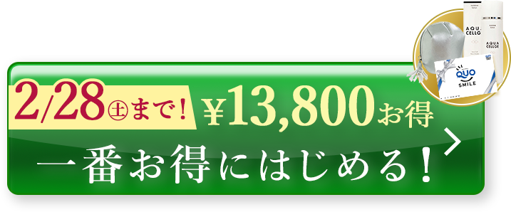 今すぐ購入する