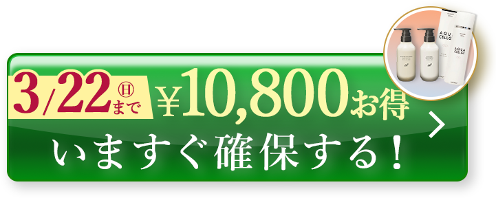 今すぐ購入する