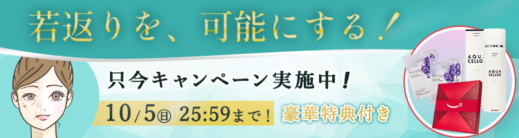 限定キャンペーン