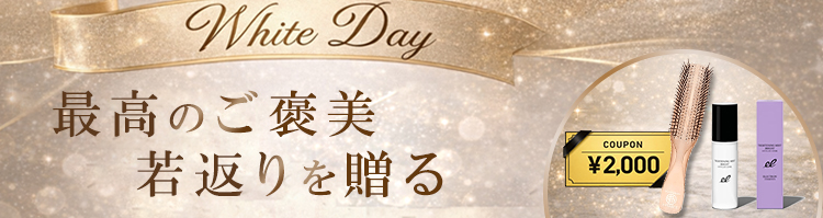 限定キャンペーン