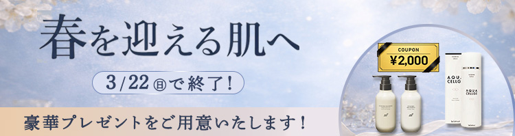 限定キャンペーン 