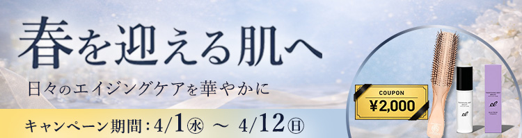 限定キャンペーン 